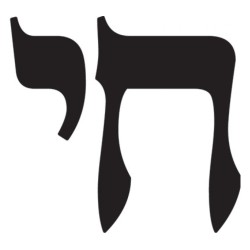 חולצת טי שרוול ארוך של חי | חולצות יהודיות